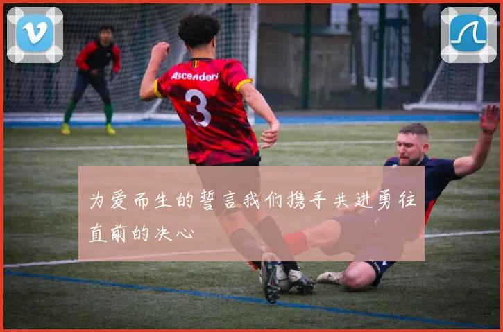 为爱而生的誓言我们携手共进勇往直前的决心