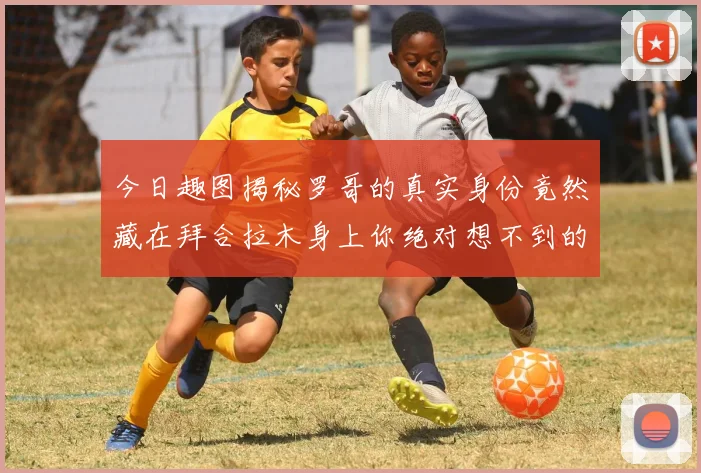 今日趣图揭秘罗哥的真实身份竟然藏在拜合拉木身上你绝对想不到的真相
